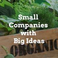 Small Companies with Big Ideas